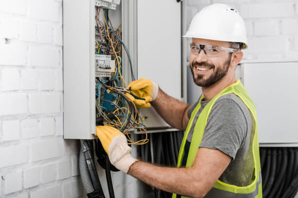 Best Affordable Electrician  in Cannon Falls, MN