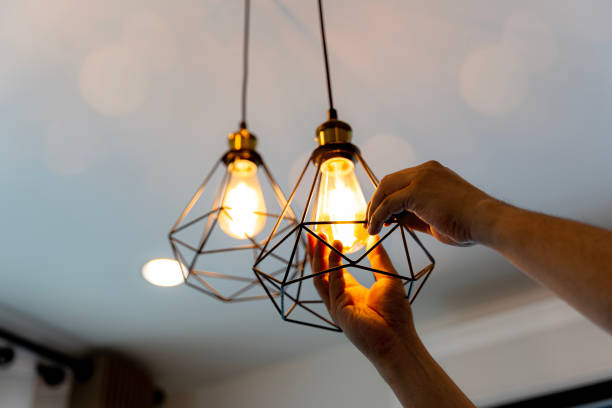 Best Electrical Repair Services  in Cannon Falls, MN