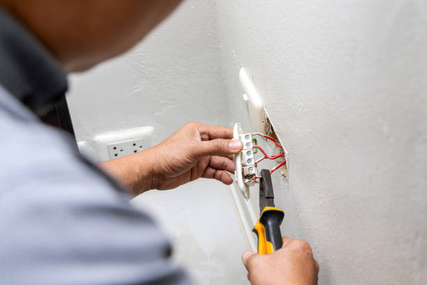 Best Electrical Troubleshooting Services  in Cannon Falls, MN