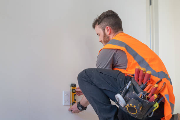 Best Electric Panel Repair  in Cannon Falls, MN