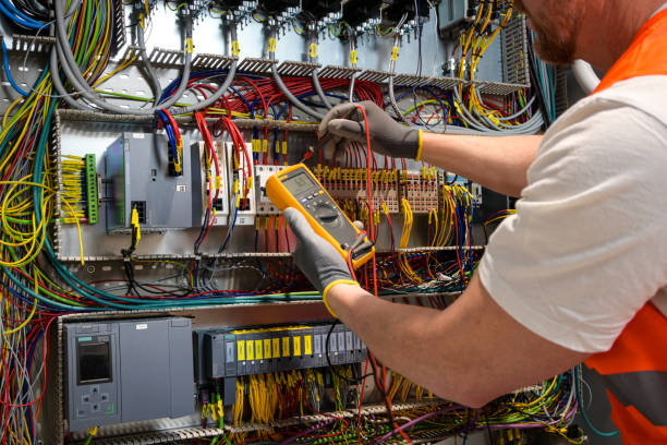 Best Residential Electrician Services  in Cannon Falls, MN