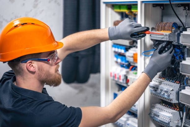 Best Local Electrician Companies  in Cannon Falls, MN